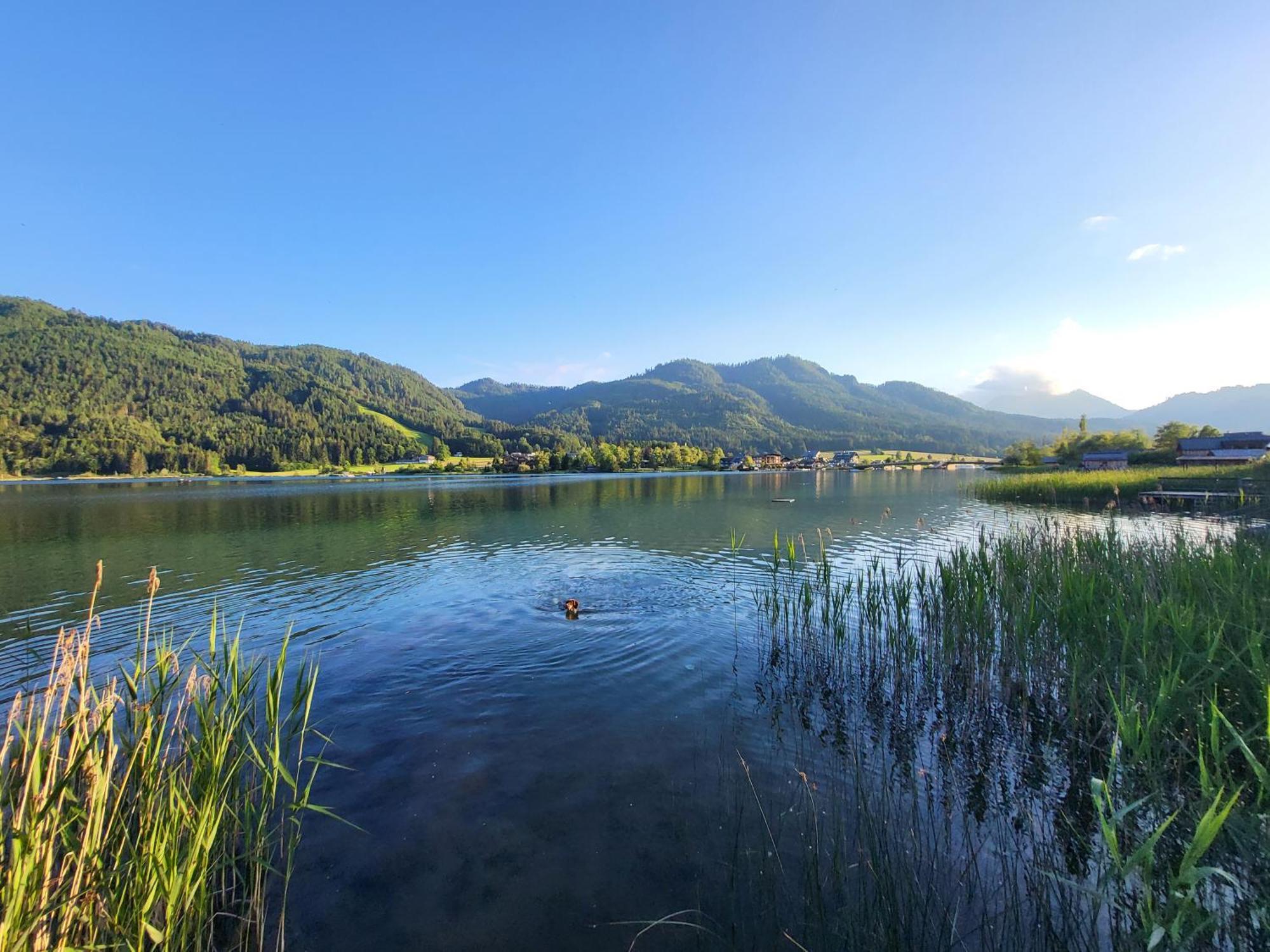Haus Lackner Am Weissensee In Kaernten Ngoại thất bức ảnh